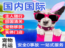 右旗巴丹吉林机场货运国际宠物托运 【国